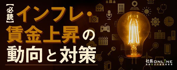 インフレ・賃金上昇の動向と対策　2024年8月
