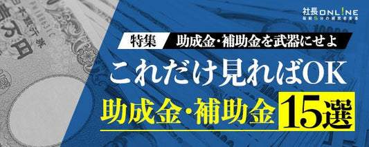 これだけチェックしておけばＯＫ！助成金・補助金１5連発